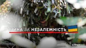 Війна за Незалежність: парламент визначив офіційну назву боротьби України з російською агресією – АрміяInform