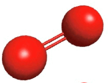 0900ktpn-00a4-217x166.png
