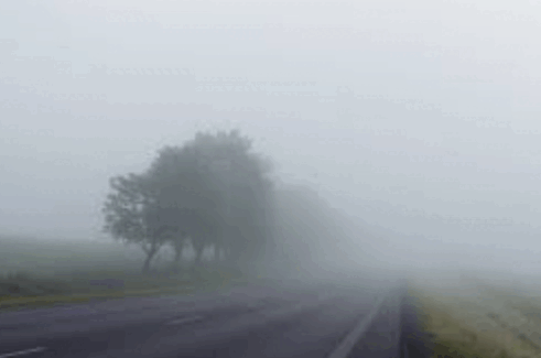 0900kxg8-bd89-491x325.png