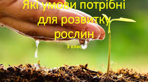  Які умови потрібні для розвитку рослин. Як виростити нову рослину без насіння