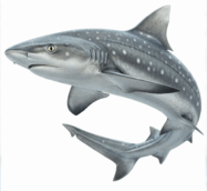 0900kyl6-6838-187x172.png