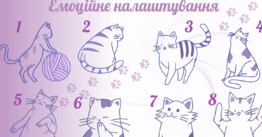 0900kzb8-1c94-363x190.png