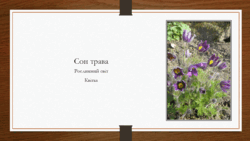 0900l113-e5cd-250x141.png
