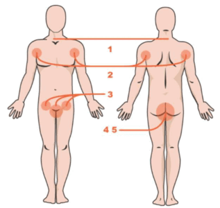 0900l2i8-3e3d-317x300.png