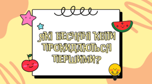 Презентація «Які весняні квіти прокидаються першими?»