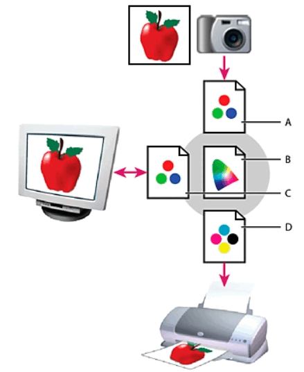 0900l70e-1de0-439x536.png