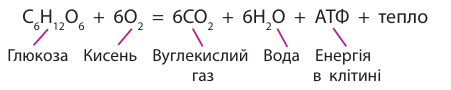 0900lgzh-75f6-451x90.png