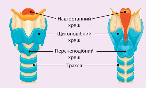 0900lh07-e6df-477x288.png