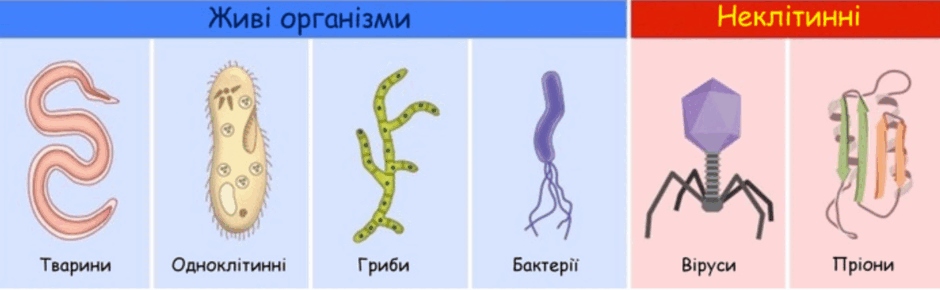 0900lhbx-8419-940x290.png