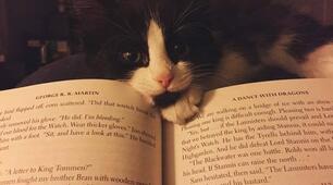 Reading Comprehension.  I term. PREPARE 8. Семестровий контроль читання.