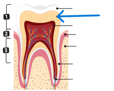 0900loh5-38d5-395x315.png