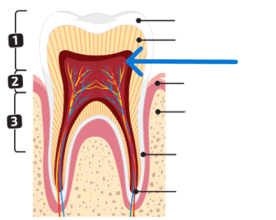 0900lohu-da64-395x315.png