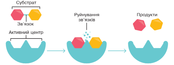 0900lolj-7ef9-680x255.png