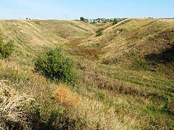 0900loq1-adc3-250x188.jpg