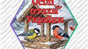 Гекси "Осілі птахи України"