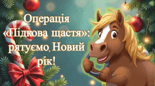 Новий рік 2026. Новорічна гра. Новорічна презентація  "Операція "Підкова щастя": рятуємо Новий рік"