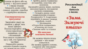 Буклет-рекомендації батькам "Зима. Зимуючі птахи"