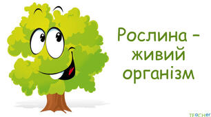 Самостійна робота "Рослини - живі організми"