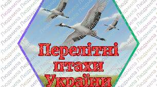 Гекси "Перелітні птахи України"