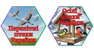 Два комплекти гексів "Осілі птахи України" та "Перелітні птахи України"