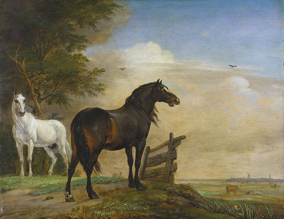 0900m22c-022c-940x724.jpg