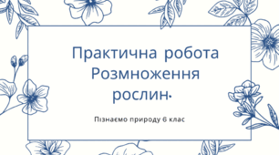 Практична робота «Розмноження рослин. Розпізнавання насіння різних рослин, що трапляються в регіоні». Пізнаємо природу 6 клас. НУШ. Автор програми Н.І.Гущина