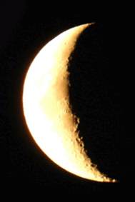 0900m60r-c39a-189x283.png