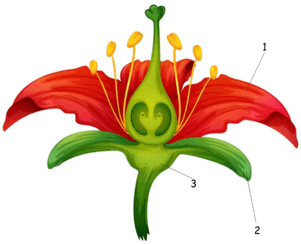 0900m8x4-ccc6-301x244.png