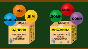 Однина і множина іменник