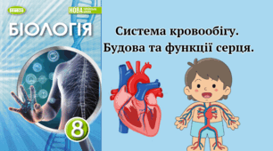 Система кровообігу. Будова та функції серця. Кровоносні судини, рух крові. Кровотечі. Серцево-судинні захворювання.