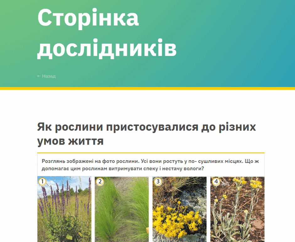 0900md92-7958-940x771.png