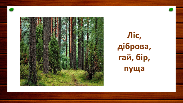 0900mout-b73d-640x360.png