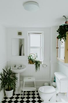 0900mpy4-dc05-235x352.jpg