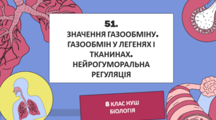 Презентація до уроку «§51. Значення газообміну у легенях і тканинах. Нейрогуморальна регуляція»  8клас  НУШ