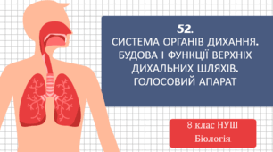 Презентація до уроку «§52. Система органів дихання. Будова і функції верхніх дихальних шляхів. Голосовий апарат»  8клас НУШ