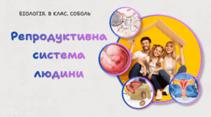 Репродуктивна система людини. 8 клас НУШ
