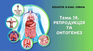 Діагностична робота. Тема 14. РЕПРОДУКЦІЯ ТА ОНТОГЕНЕЗ