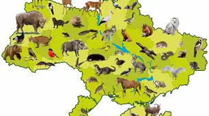 Вікторина "Тваринний світ України"
