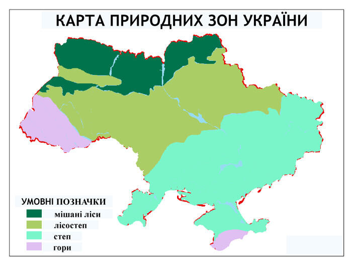 0900muzd-5504-700x525.jpg