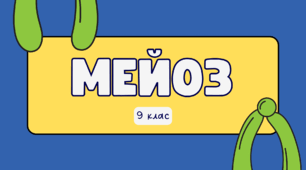 Мейоз. Рекомбінація ДНК.