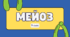 Мейоз. Рекомбінація ДНК.