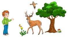 0900mvyb-3a37-235x133.png