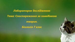 Лабораторне дослідження "Спостереження за поведінкою тварин"