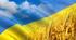 Тетяна Майданович. «О Україно! Божий білий цвіт!», «Країна Українія». Короткі біографічні відомості про автора. Образ сучасної України в поетичних творах. Патріотичні почуття ліричного героя, втілені у віршах