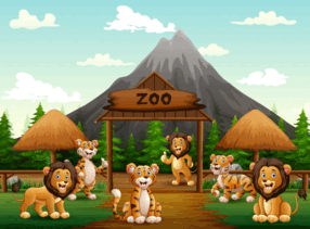 0900mzbr-c808-286x211.png