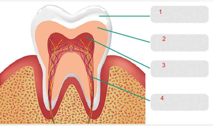 0900mzk6-2a27-715x425.png