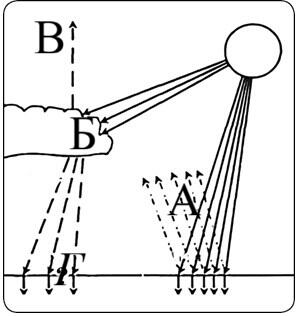 0900mzwf-26d0-298x316.jpg