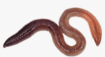 0900n0te-b586-150x82.png