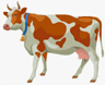 0900n0tk-763f-96x78.png