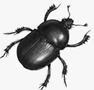 0900n0v2-b768-94x90.png